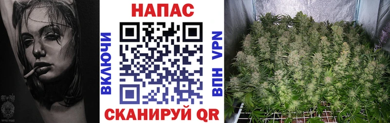 Бошки Шишки MAZAR  продажа наркотиков  Лермонтов 